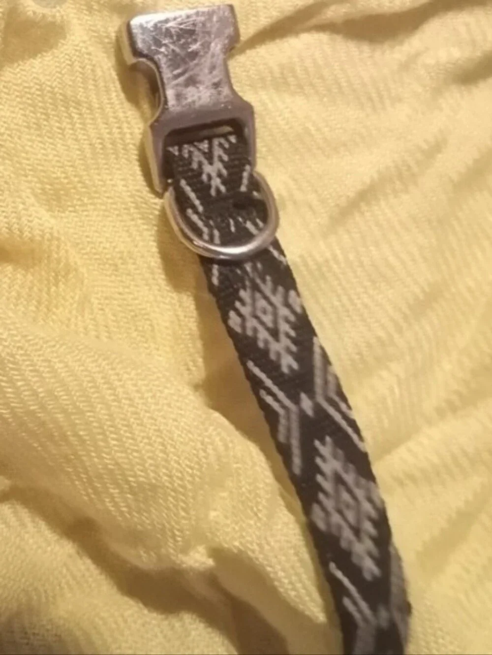 2 Vibrant Life XS Dog Collars Adorable!